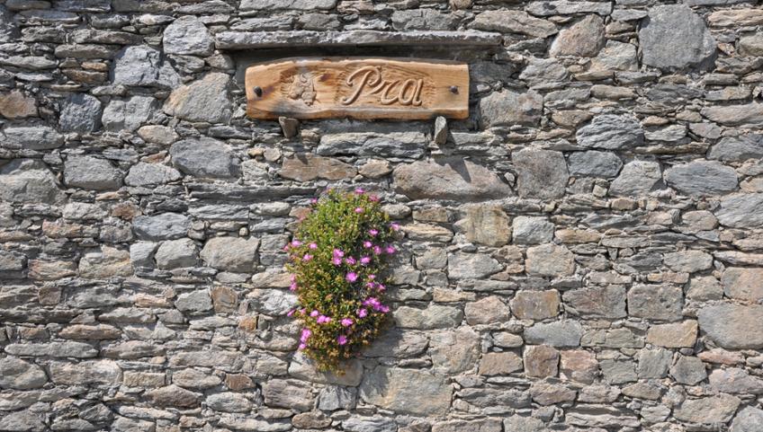 NEI BOSCHI DEL SANTUARIO DI VICOFORTE, TRA IL SACRO ED I CASTAGNI